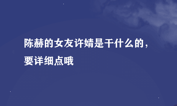 陈赫的女友许婧是干什么的，要详细点哦