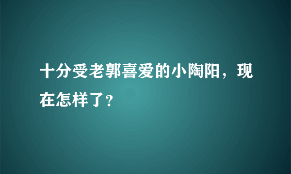 十分受老郭喜爱的小陶阳，现在怎样了？