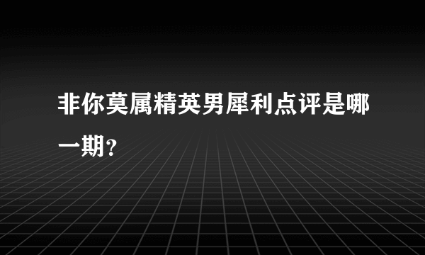 非你莫属精英男犀利点评是哪一期？