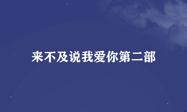 来不及说我爱你第二部