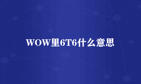 WOW里6T6什么意思