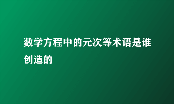 数学方程中的元次等术语是谁创造的