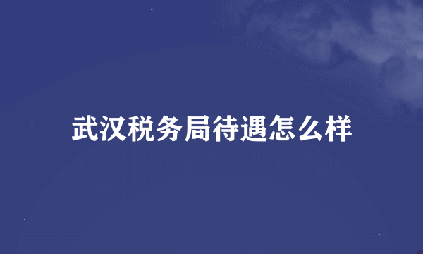 武汉税务局待遇怎么样