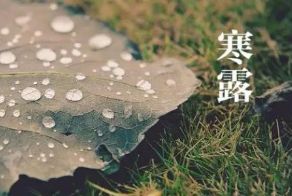 寒露是什么节气 寒露的由来与习俗