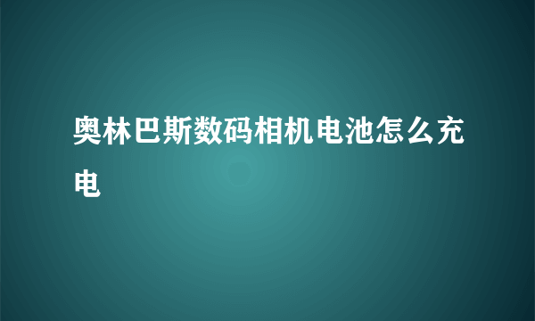 奥林巴斯数码相机电池怎么充电