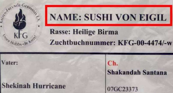 德国人姓氏中的“von”是不是贵族出身的标志啊？