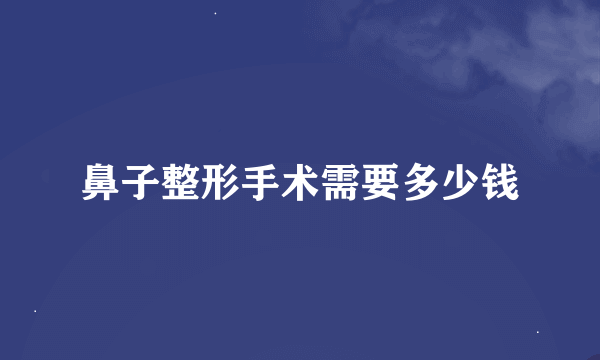 鼻子整形手术需要多少钱