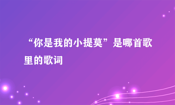 “你是我的小提莫”是哪首歌里的歌词