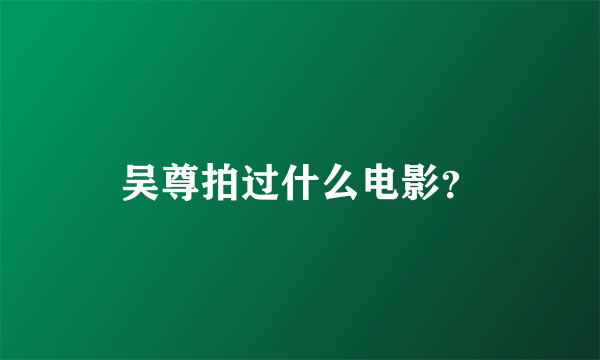 吴尊拍过什么电影？