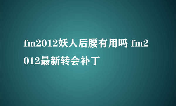 fm2012妖人后腰有用吗 fm2012最新转会补丁