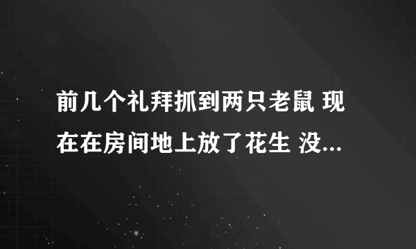 前几个礼拜抓到两只老鼠 现在在房间地上放了花生 没有被吃掉是不是就代表没有老鼠了