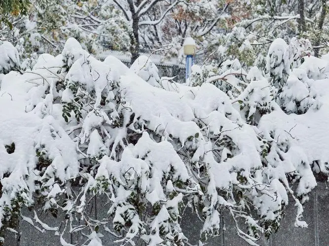 极寒暴风雪冰封通辽，通辽现在的情况怎么样？