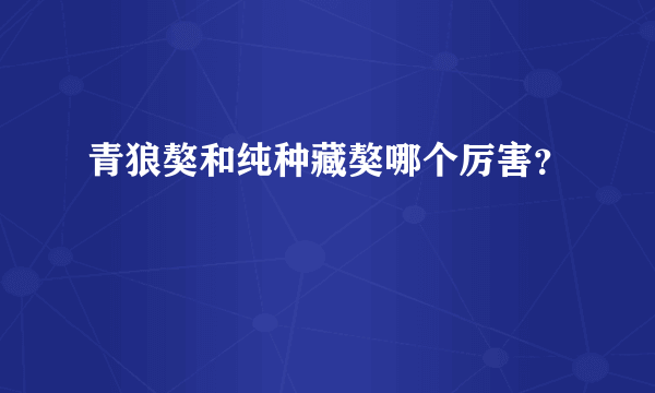 青狼獒和纯种藏獒哪个厉害？