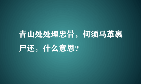 青山处处埋忠骨，何须马革裹尸还。什么意思？