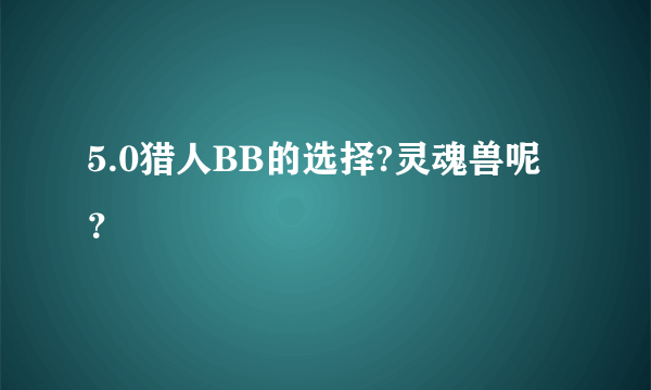 5.0猎人BB的选择?灵魂兽呢？