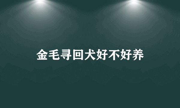 金毛寻回犬好不好养