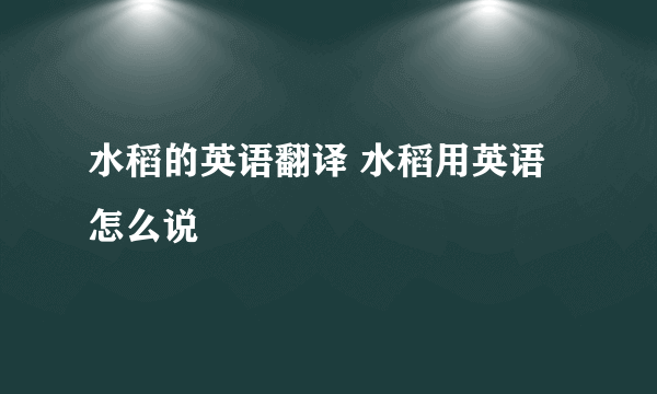 水稻的英语翻译 水稻用英语怎么说