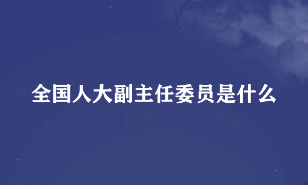 全国人大副主任委员是什么