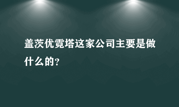 盖茨优霓塔这家公司主要是做什么的？