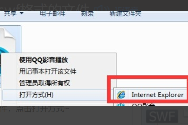 swf是什么文件格式怎么打开