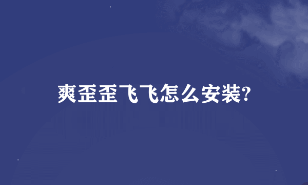 爽歪歪飞飞怎么安装?