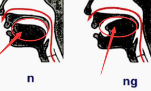 前鼻音和后鼻音有哪些不同，要怎样区分？