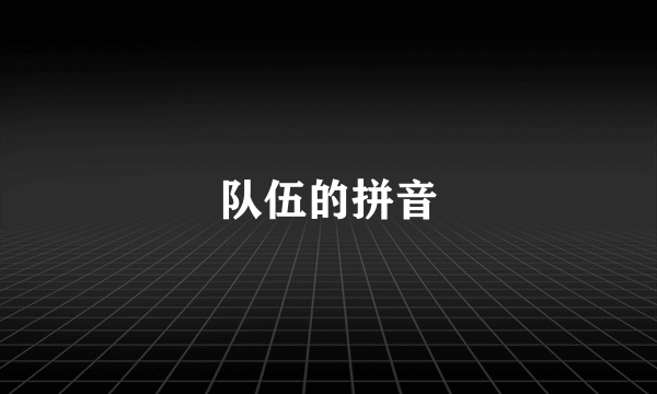 队伍的拼音