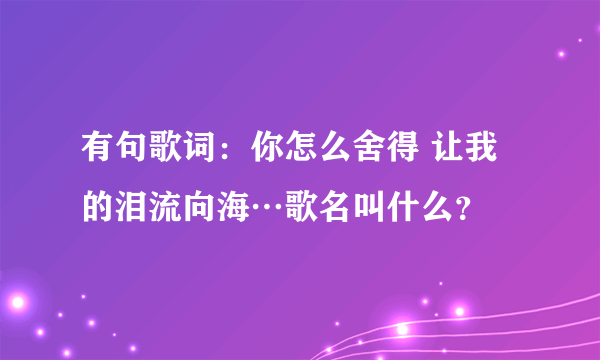 有句歌词：你怎么舍得 让我的泪流向海…歌名叫什么？