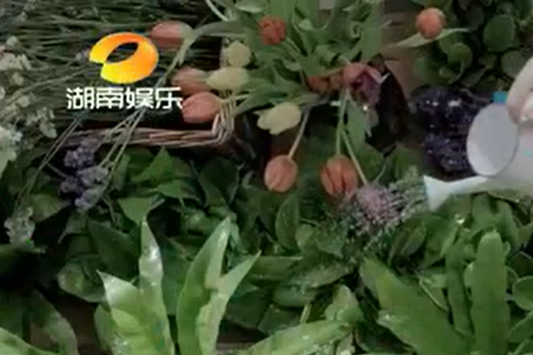 怎样才能看湖南娱乐频道