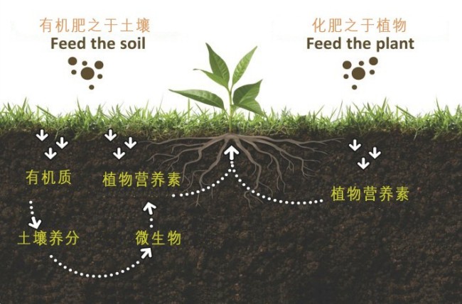 什么叫化学肥料?它包括哪几种肥料?