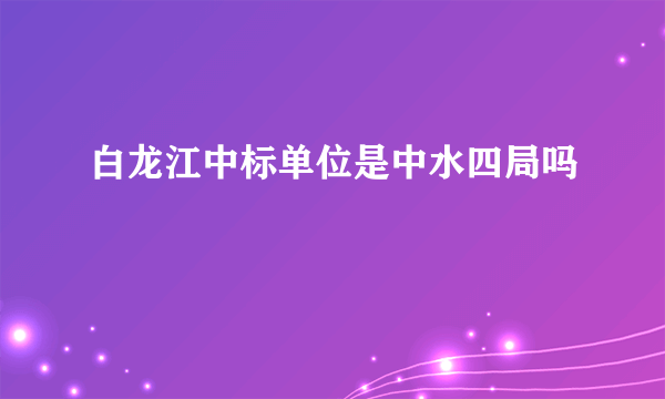 白龙江中标单位是中水四局吗