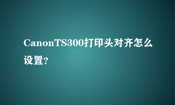 CanonTS300打印头对齐怎么设置？