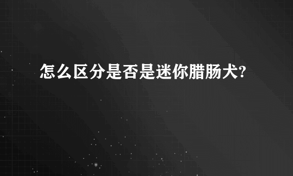 怎么区分是否是迷你腊肠犬?