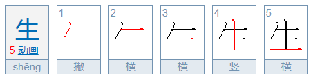 生的笔顺是什么