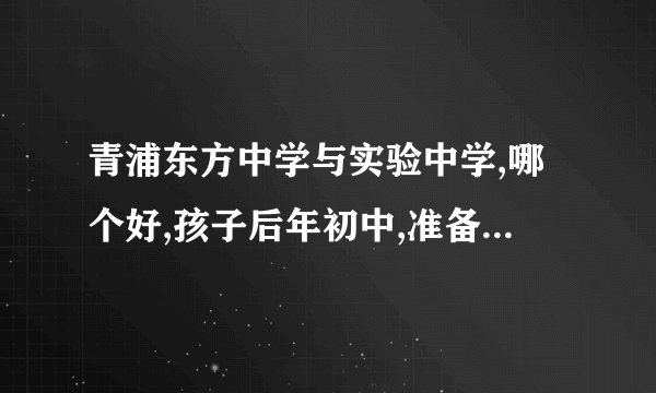 青浦东方中学与实验中学,哪个好,孩子后年初中,准备买学区房,但不知道哪个学校好,不知道买在哪里!