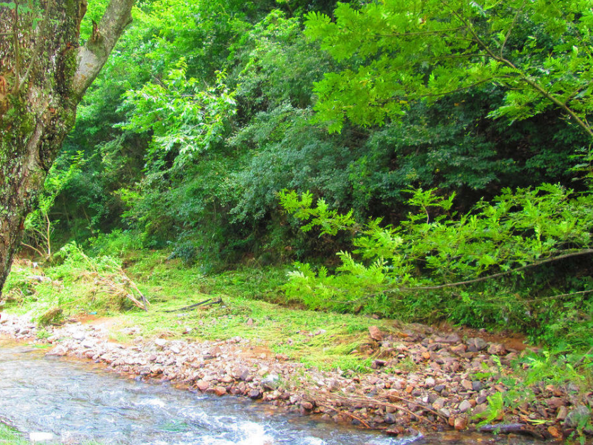 山穷水复疑无路，柳暗花明又一村 什么意思