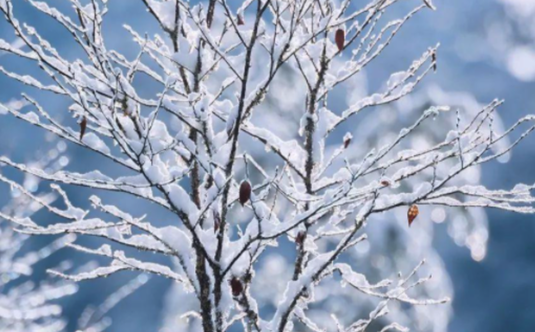 雪的密度是多少呢?