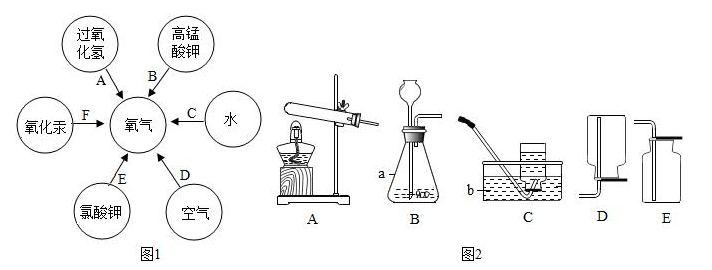 氢氧化钠和水反应的化学方程式是什么？