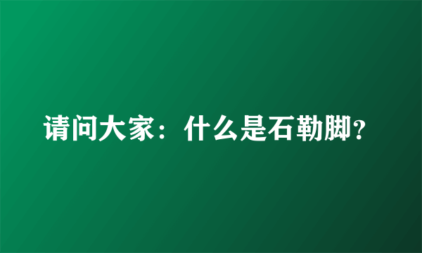 请问大家：什么是石勒脚？