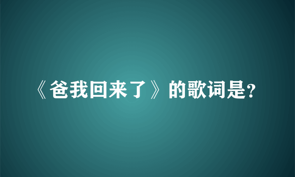 《爸我回来了》的歌词是？