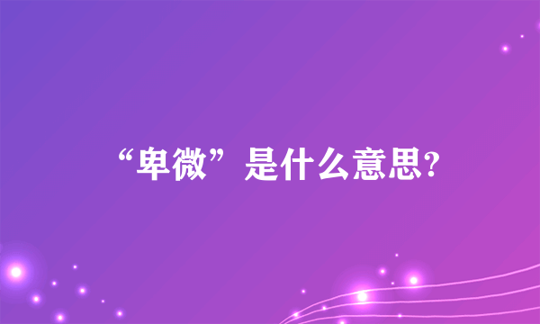 “卑微”是什么意思?