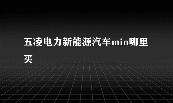 五凌电力新能源汽车min哪里买