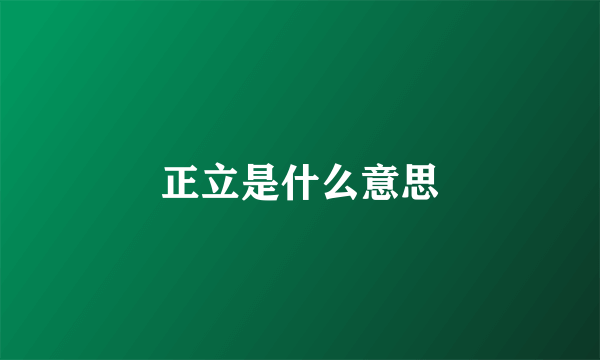 正立是什么意思