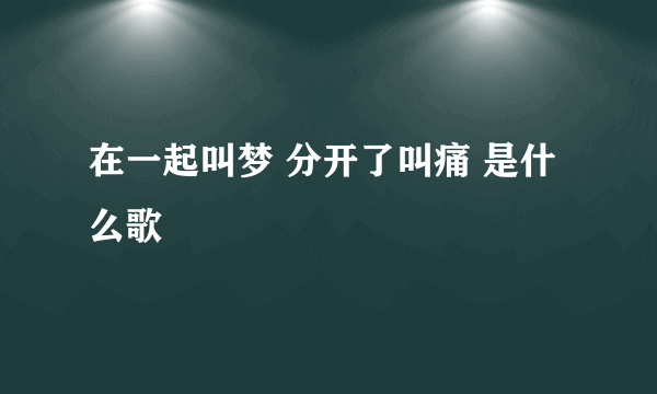 在一起叫梦 分开了叫痛 是什么歌