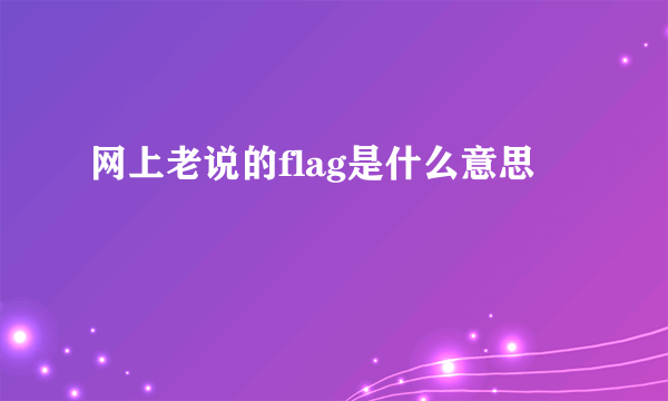 网上老说的flag是什么意思