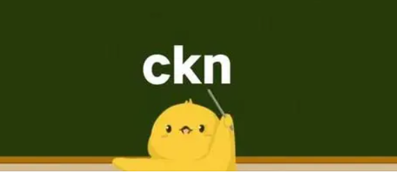 ckn是什么意思？