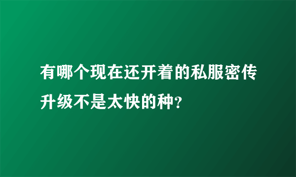 有哪个现在还开着的私服密传升级不是太快的种？