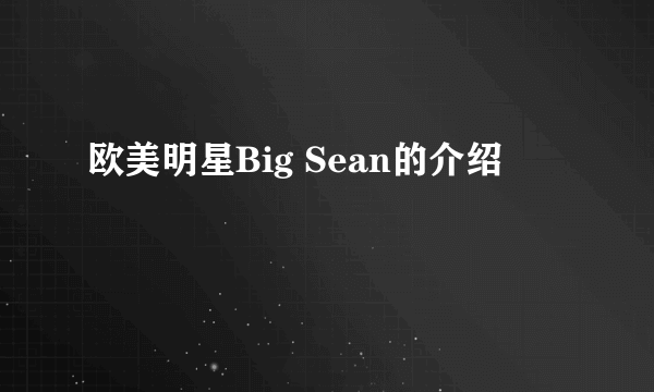 欧美明星Big Sean的介绍