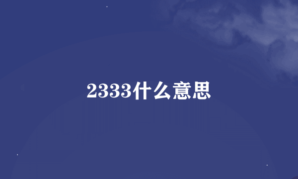 2333什么意思