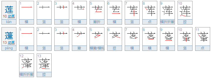 莲蓬读音是什么